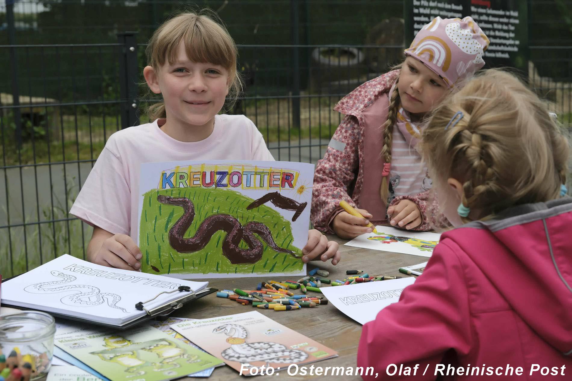 Terrazoo tag der kreuzotter